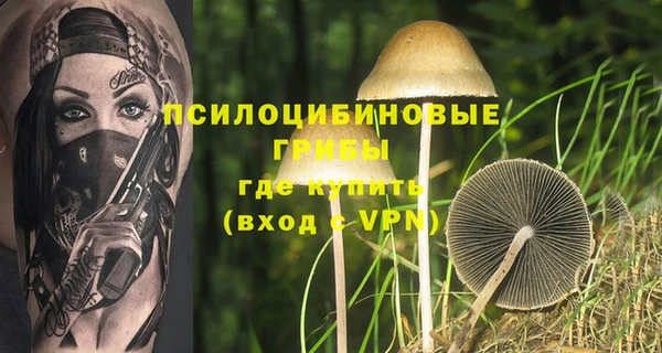 дмт Баксан